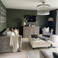 Dark Olive Green paint called Nomad by COAT Paints the eco friendly paint company