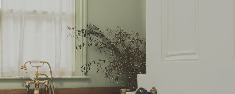 Green paint called East For Trees by COAT Paints the eco friendly paint company