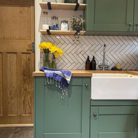 Duck Green paint called Mansard by COAT Paints the eco friendly paint company