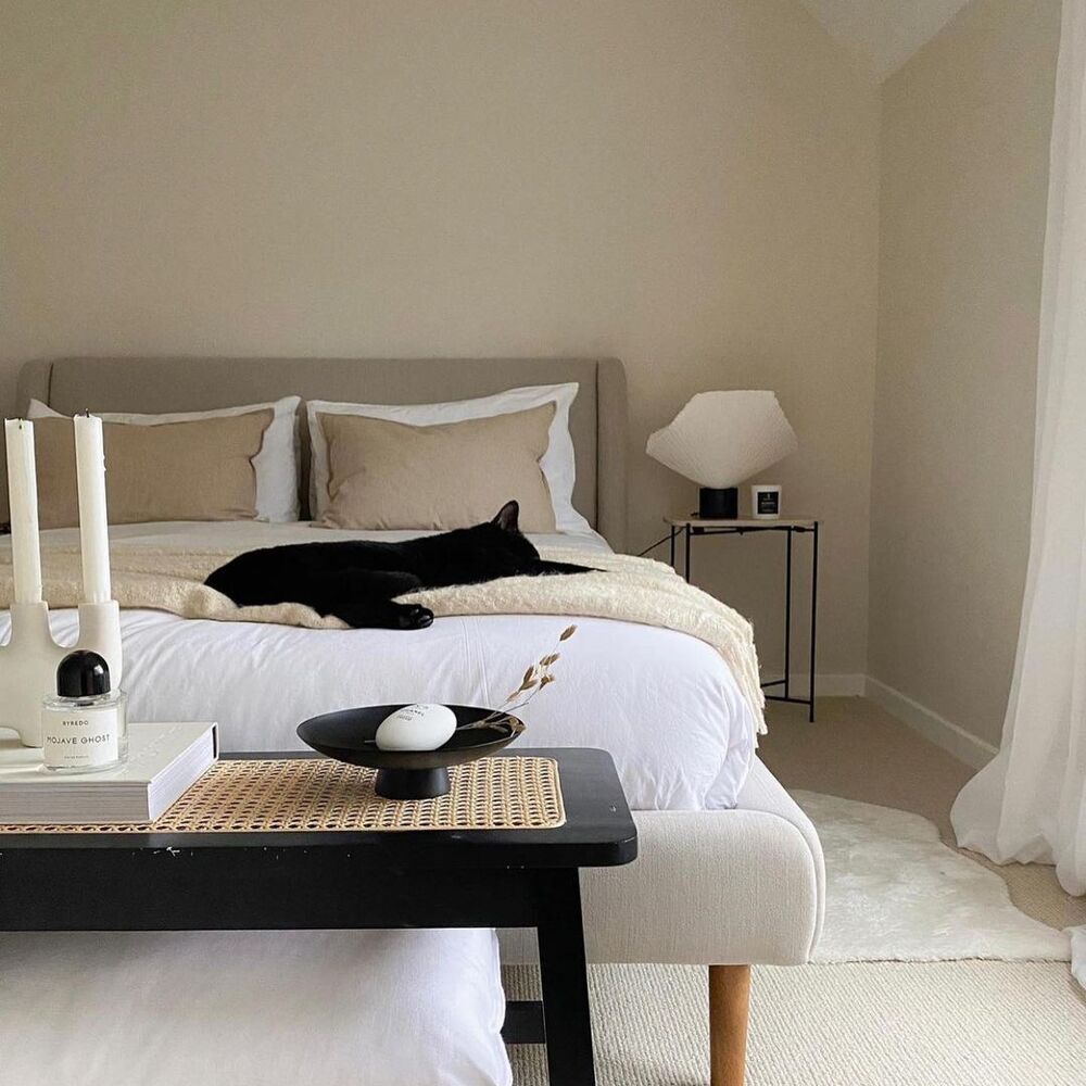North Facing Neutrals