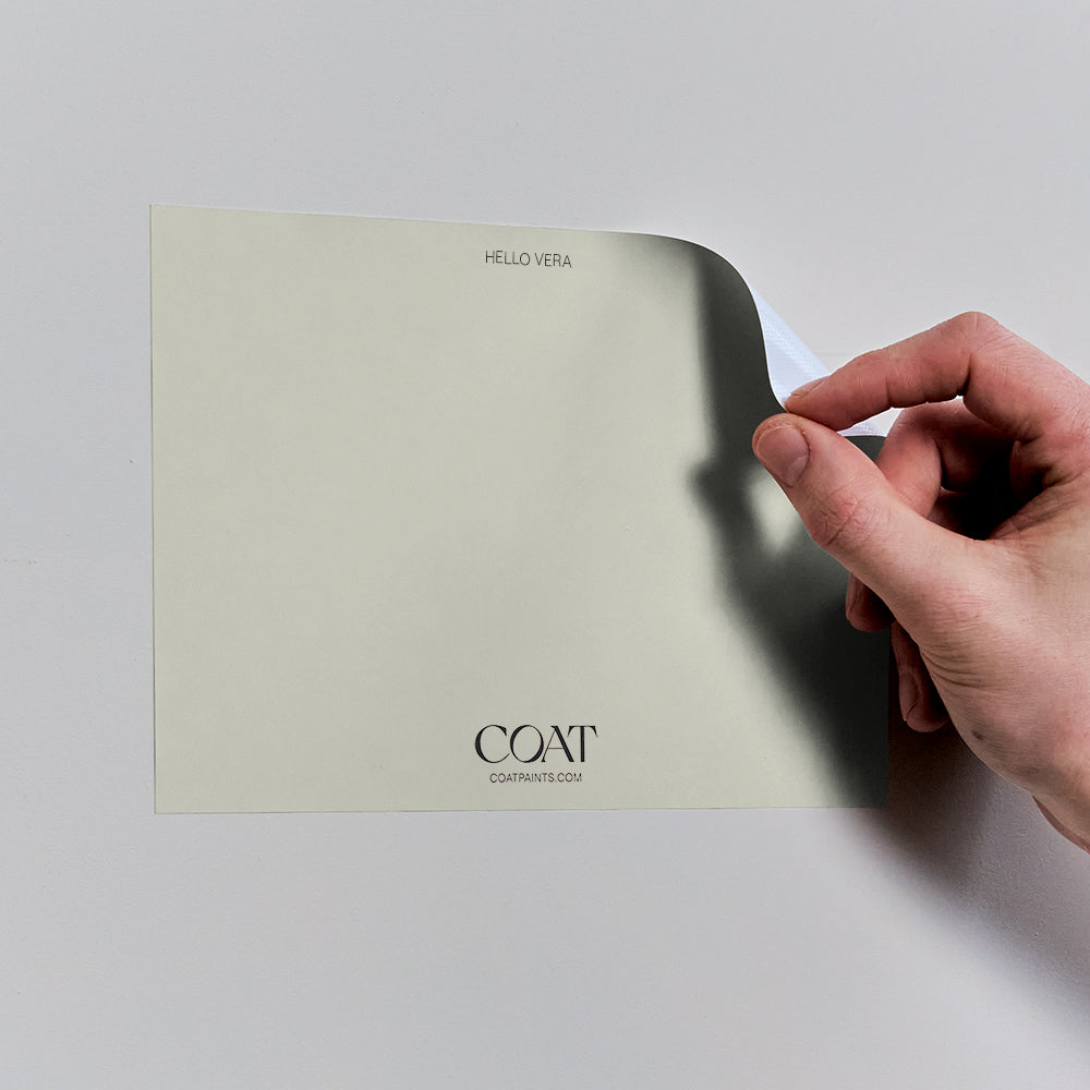 Buy Pale Beige Green Paint (Hello Vera) 100 Accurate Paint Samples