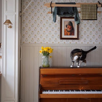 South Facing Neutrals