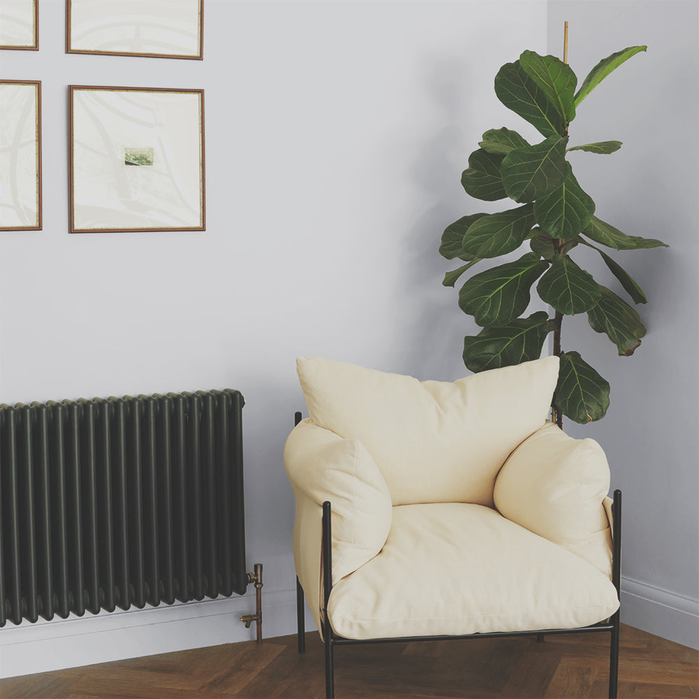 Light Cool Grey paint called Algorithm by COAT Paints the eco friendly paint company