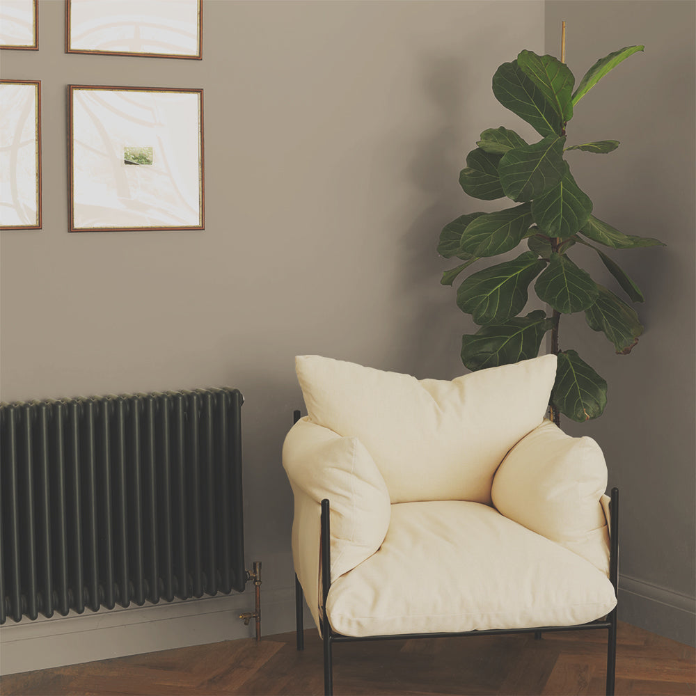 Deep Beige paint called Biscuits For Breakfast by COAT Paints the eco friendly paint company