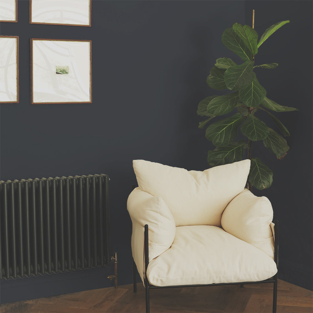 Charcoal Black paint called David Rose by COAT Paints the eco friendly paint company