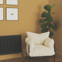 Golden Yellow Sample Sample called House Points Sample by COAT Paints the eco friendly paint company