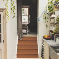 Rich Burnt Orange paint called Mezcal by COAT Paints the eco friendly paint company