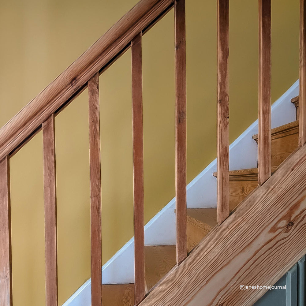 Golden Yellow Sample Sample called House Points Sample by COAT Paints the eco friendly paint company