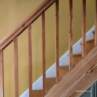 Golden Yellow Sample Sample called House Points Sample by COAT Paints the eco friendly paint company