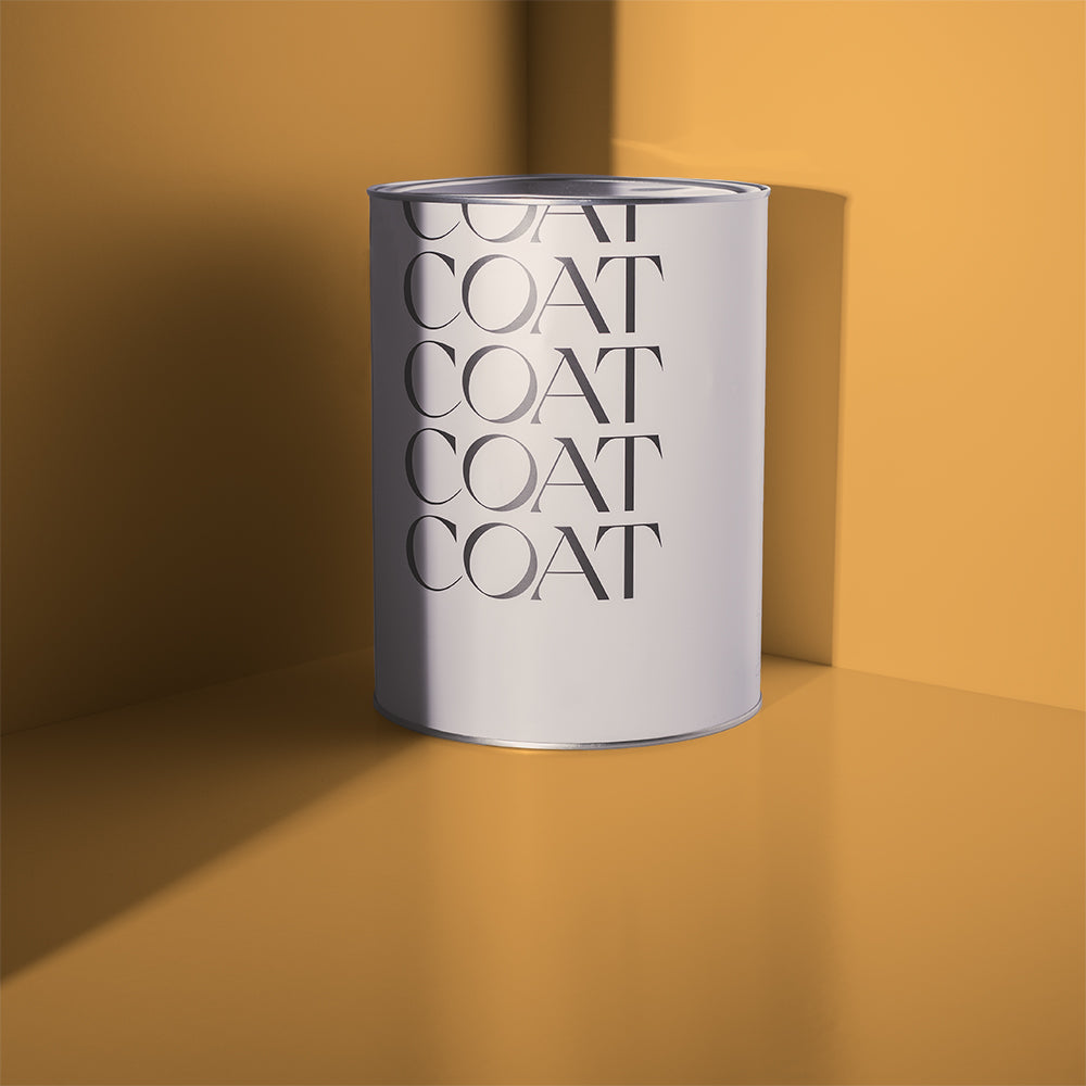 Golden Yellow Sample Sample called House Points Sample by COAT Paints the eco friendly paint company