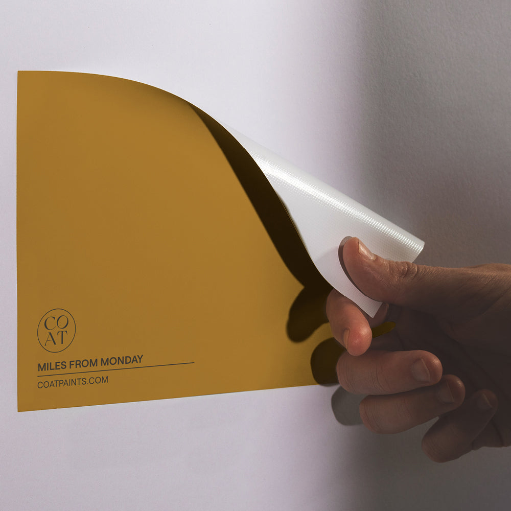 Ochre Yellow Sample called Miles From Monday by COAT Paints the eco friendly paint company