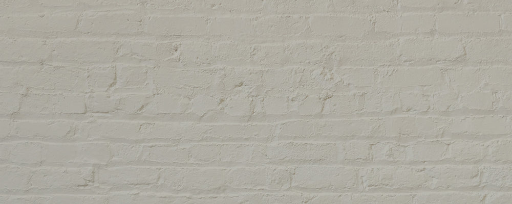 Natural Off White paint called Pampas by COAT Paints the eco friendly paint company