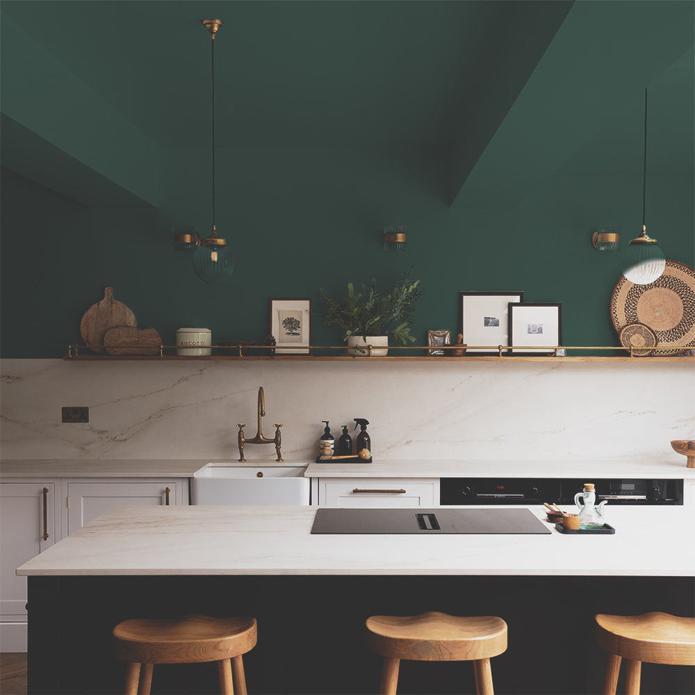 Timeless Dark Green paint called Ditch the Tie by COAT Paints the eco friendly paint company