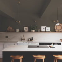 Rich Brown Sample Sample called Sheldon Sample by COAT Paints the eco friendly paint company