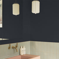 Charcoal Black paint called David Rose by COAT Paints the eco friendly paint company