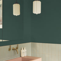 Timeless Dark Green paint called Ditch the Tie by COAT Paints the eco friendly paint company