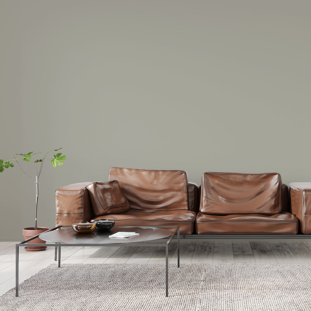 Green Grey paint called The Trail by COAT Paints the eco friendly paint company