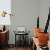 Hazy Grey Green paint called Yard Party by COAT Paints the eco friendly paint company