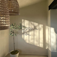 Modern Beige paint called Duvet Day by COAT Paints the eco friendly paint company