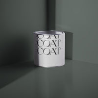 Dark Lead Grey paint called The Coal Drop by COAT Paints the eco friendly paint company