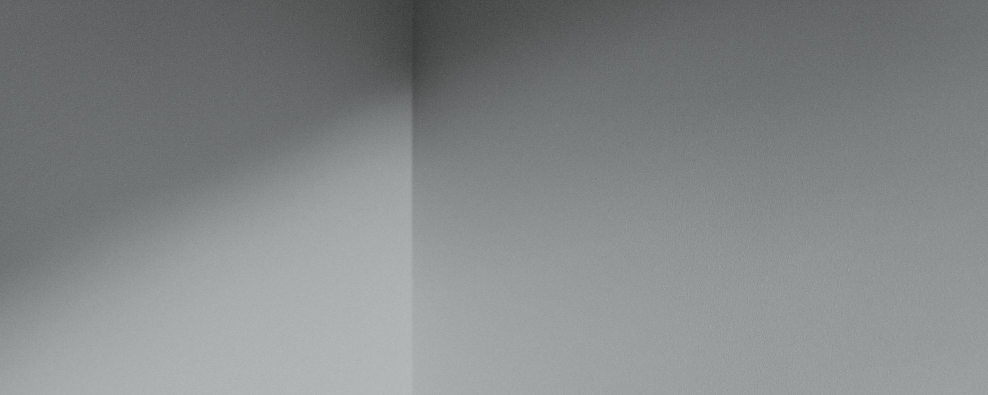 Medium warm grey Sample called Are you still watching? Sample by COAT Paints the eco friendly paint company