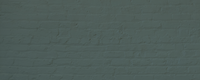 Dark Teal paint called Adulting by COAT Paints the eco friendly paint company