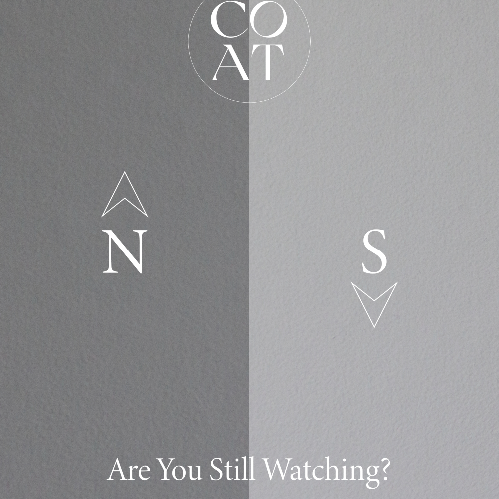 Medium warm grey Sample called Are you still watching? Sample by COAT Paints the eco friendly paint company