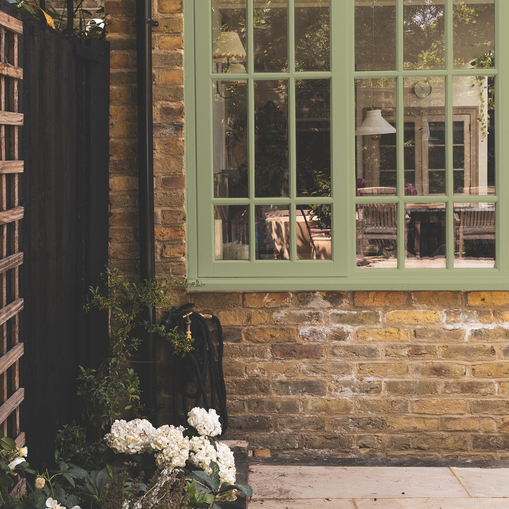 Green paint called East For Trees by COAT Paints the eco friendly paint company