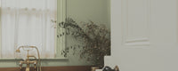 Green Sample Sample called East For Trees Sample by COAT Paints the eco friendly paint company