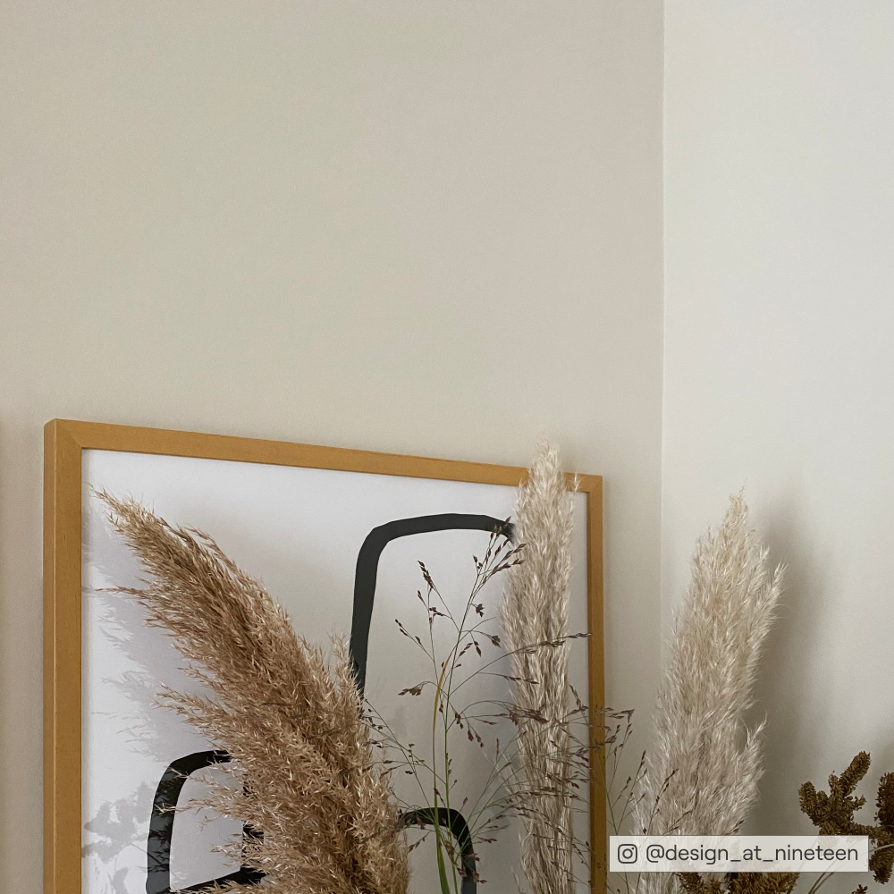 Modern Beige Sample Sample called Duvet Day Sample by COAT Paints the eco friendly paint company