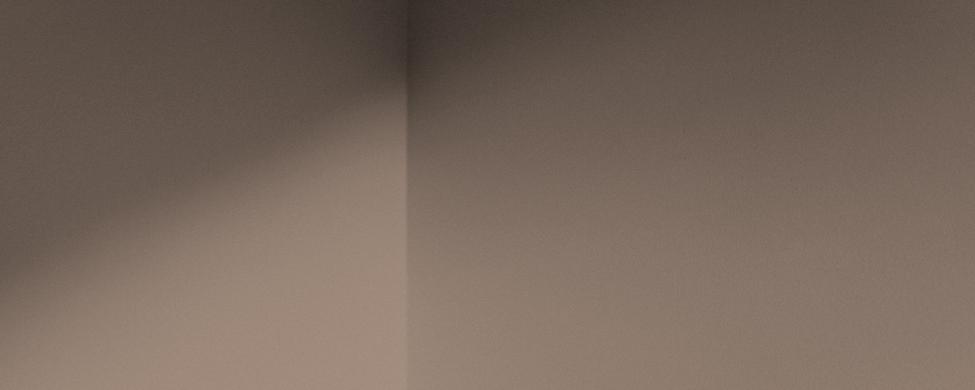 Dry Plaster Pink Sample Sample called Factor Fifty Sample by COAT Paints the eco friendly paint company