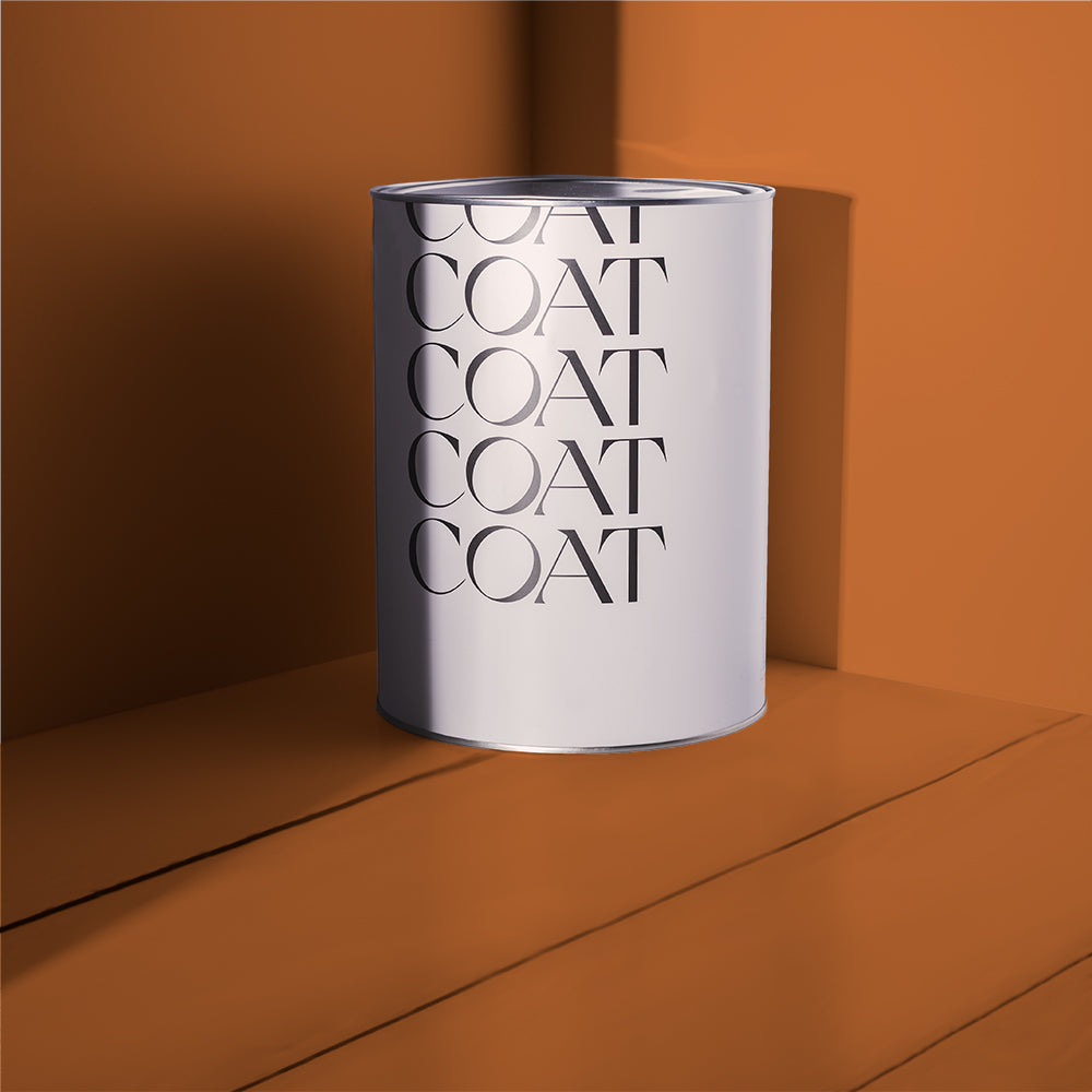 Rich Burnt Orange paint called Mezcal by COAT Paints the eco friendly paint company
