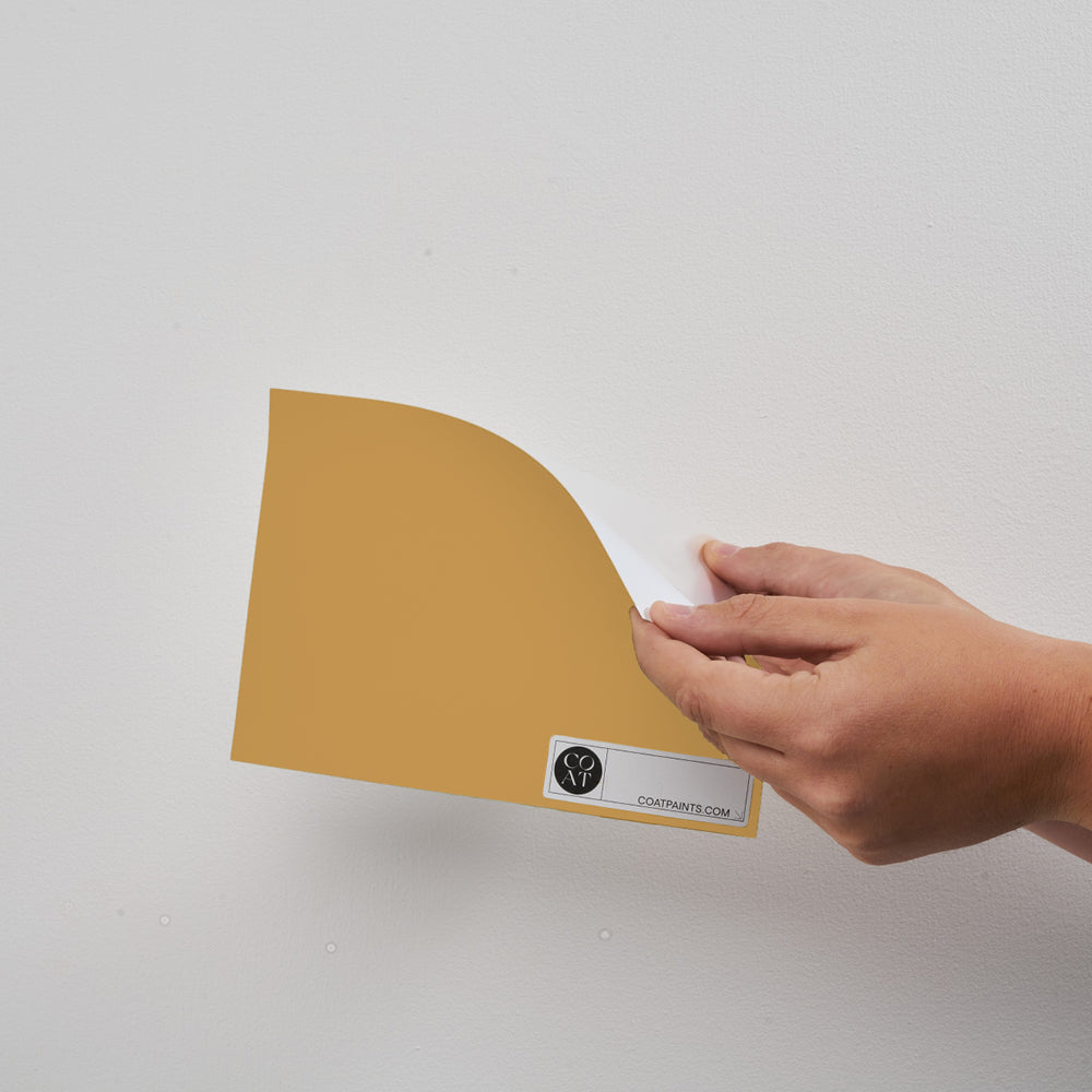Golden Yellow Sample Sample called House Points Sample by COAT Paints the eco friendly paint company