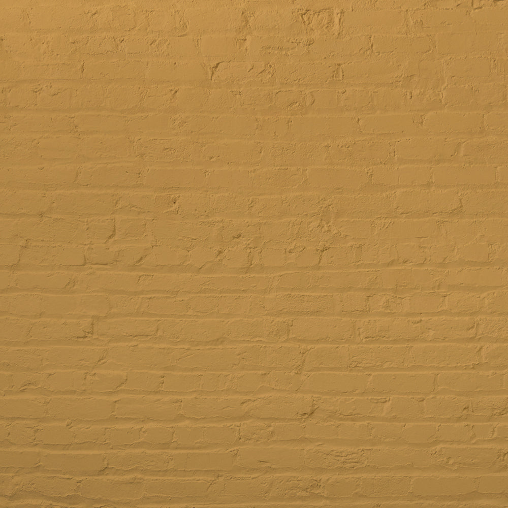 Golden Yellow paint called House Points by COAT Paints the eco friendly paint company