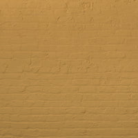 Golden Yellow paint called House Points by COAT Paints the eco friendly paint company