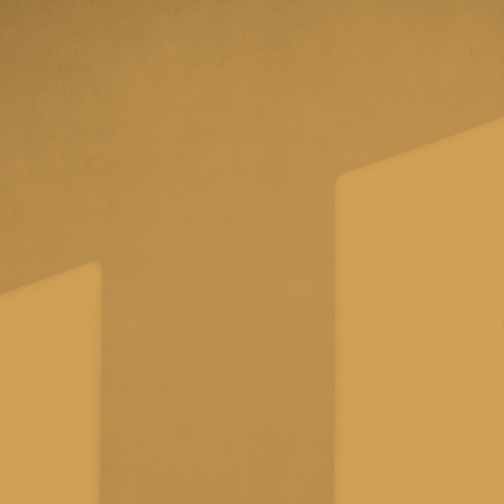 Golden Yellow Sample Sample called House Points Sample by COAT Paints the eco friendly paint company