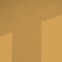 Golden Yellow Sample Sample called House Points Sample by COAT Paints the eco friendly paint company