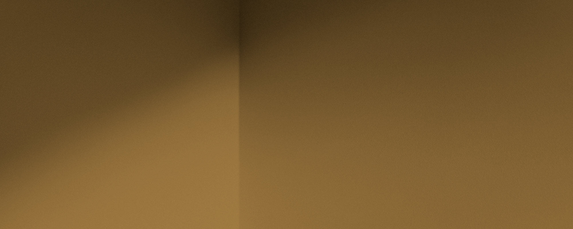 Golden Yellow Sample Sample called House Points Sample by COAT Paints the eco friendly paint company
