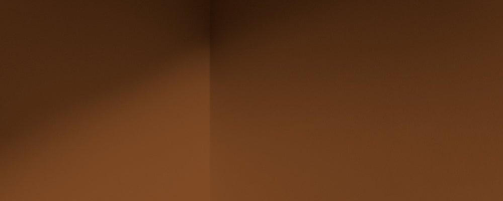 Rich Burnt Orange paint called Mezcal by COAT Paints the eco friendly paint company