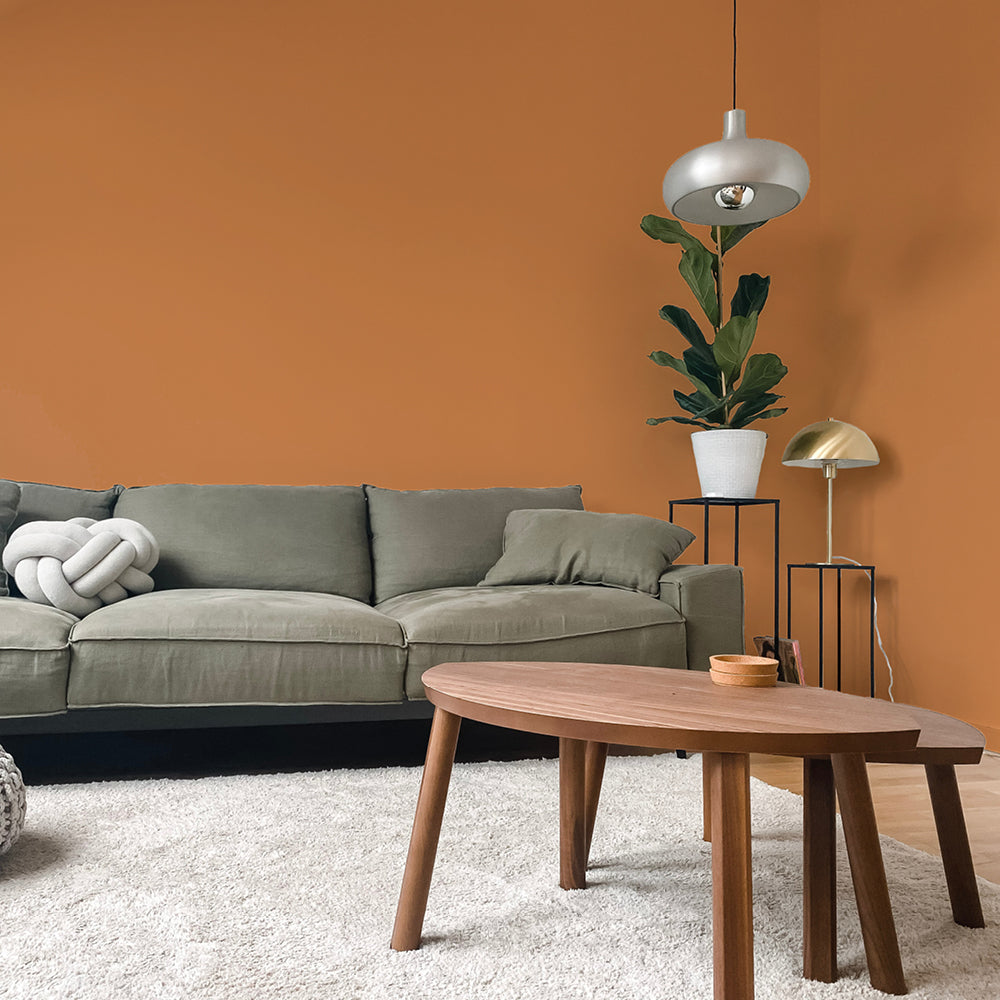 Rich Burnt Orange paint called Mezcal by COAT Paints the eco friendly paint company