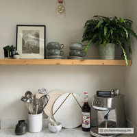 Natural Off White paint called Pampas by COAT Paints the eco friendly paint company