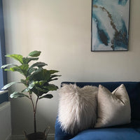 Natural Off White paint called Pampas by COAT Paints the eco friendly paint company