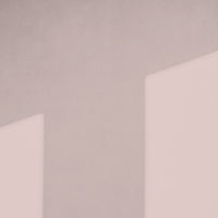 Sugary Pink Sample Sample called Percy Sample by COAT Paints the eco friendly paint company