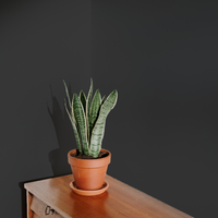 Warm Black Sample Sample called The Record Store Sample by COAT Paints the eco friendly paint company