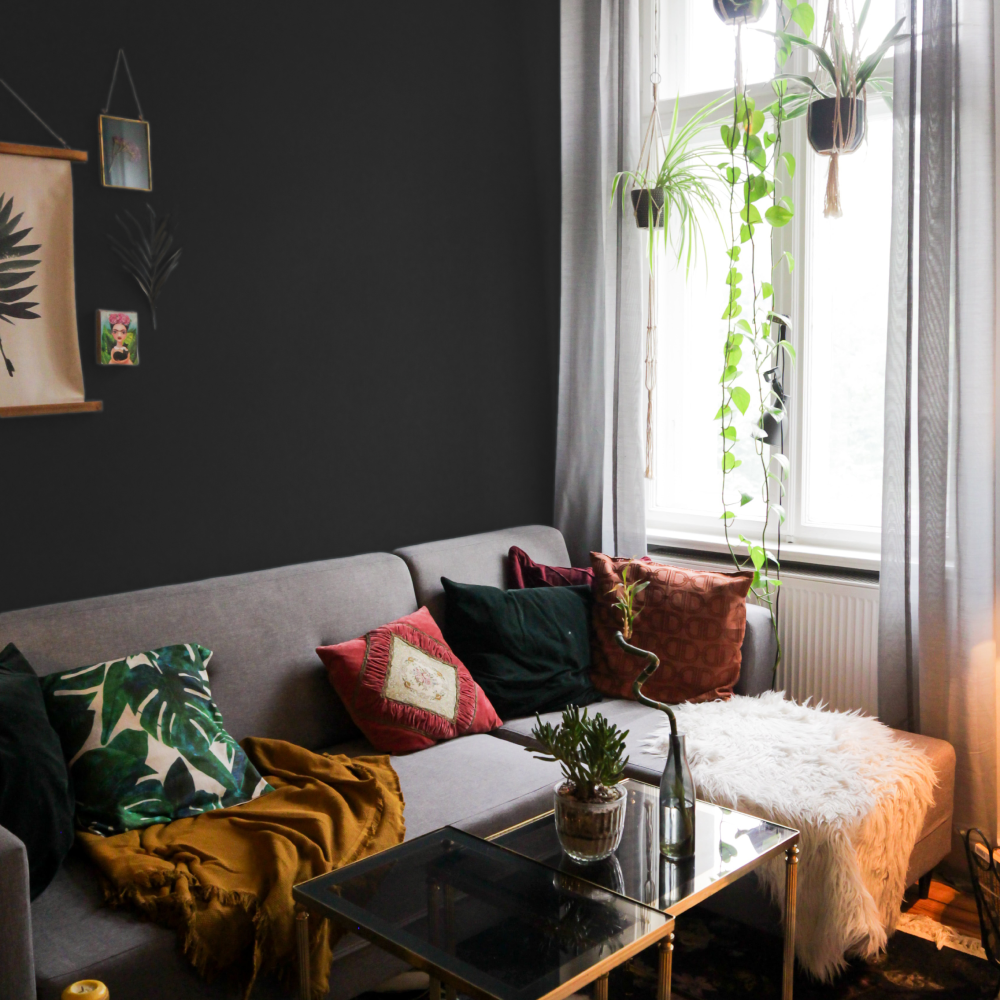 Warm Black Sample Sample called The Record Store Sample by COAT Paints the eco friendly paint company