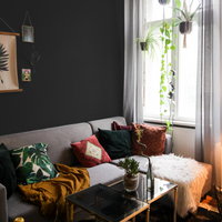 Warm Black Sample Sample called The Record Store Sample by COAT Paints the eco friendly paint company