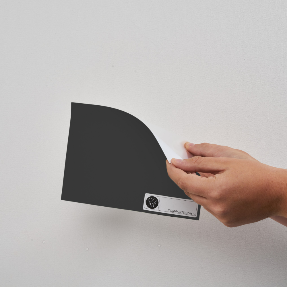 Warm Black Sample Sample called The Record Store Sample by COAT Paints the eco friendly paint company