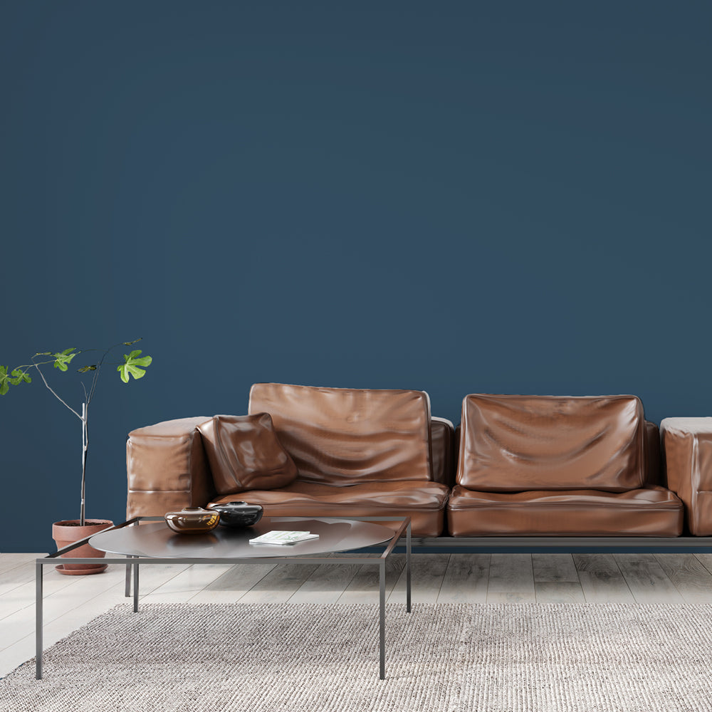 Dark Grey Blue Sample Sample called The Establishment Sample by COAT Paints the eco friendly paint company