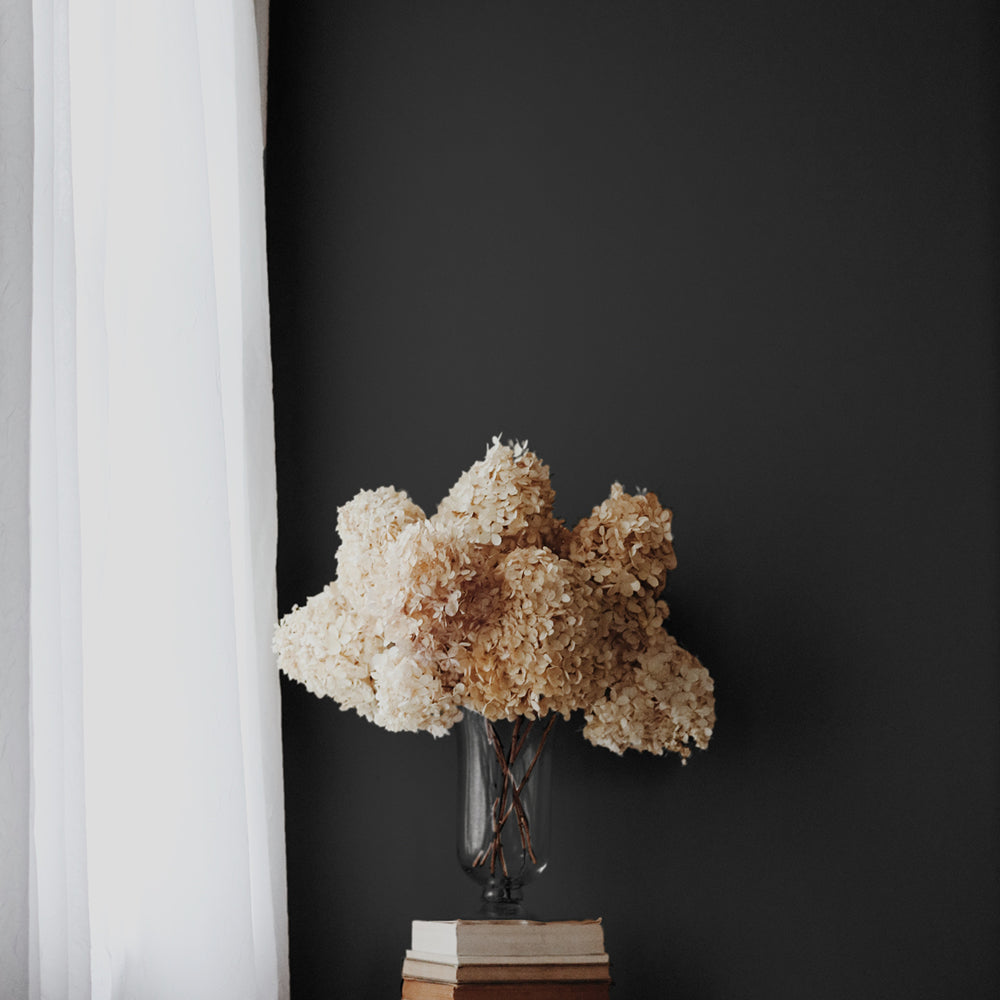 Warm Black paint called The Record Store by COAT Paints the eco friendly paint company