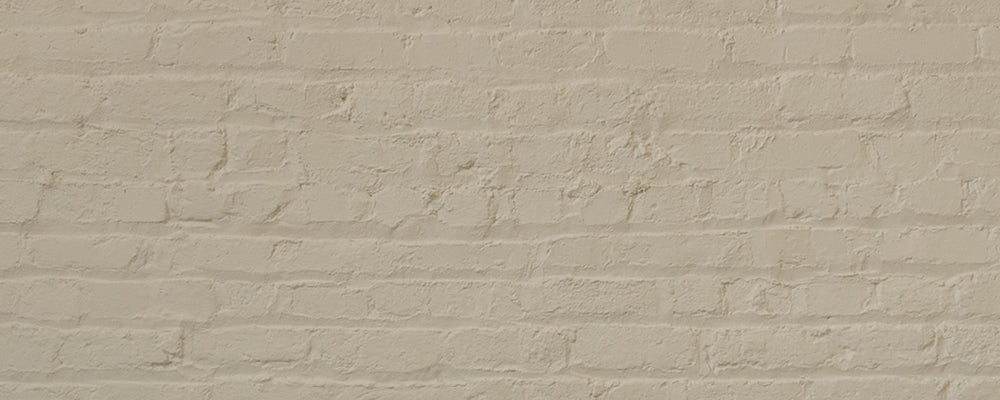 Biscuit Beige paint called Well Grounded by COAT Paints the eco friendly paint company